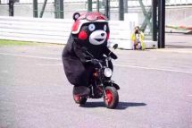 本田小猴子摩托车熊本熊限量版，简直萌得不要不要的