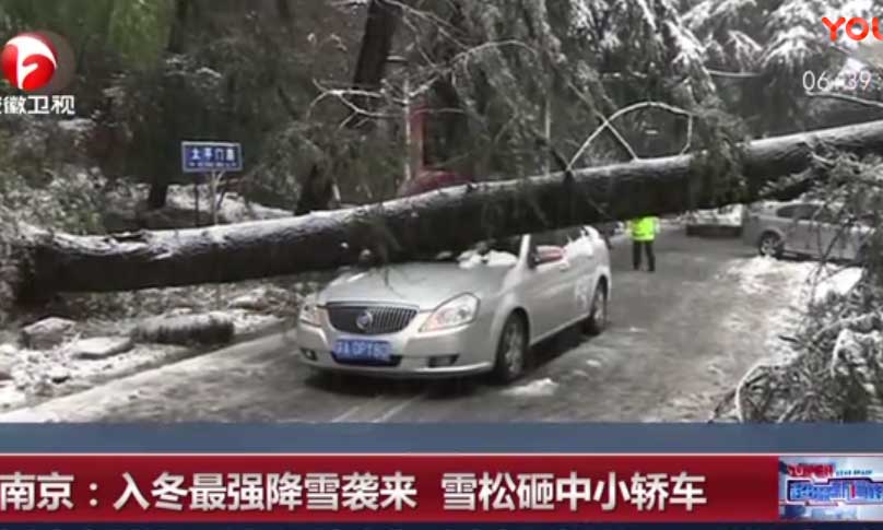南京 入冬最強降雪襲來 雪松砸中小轎車